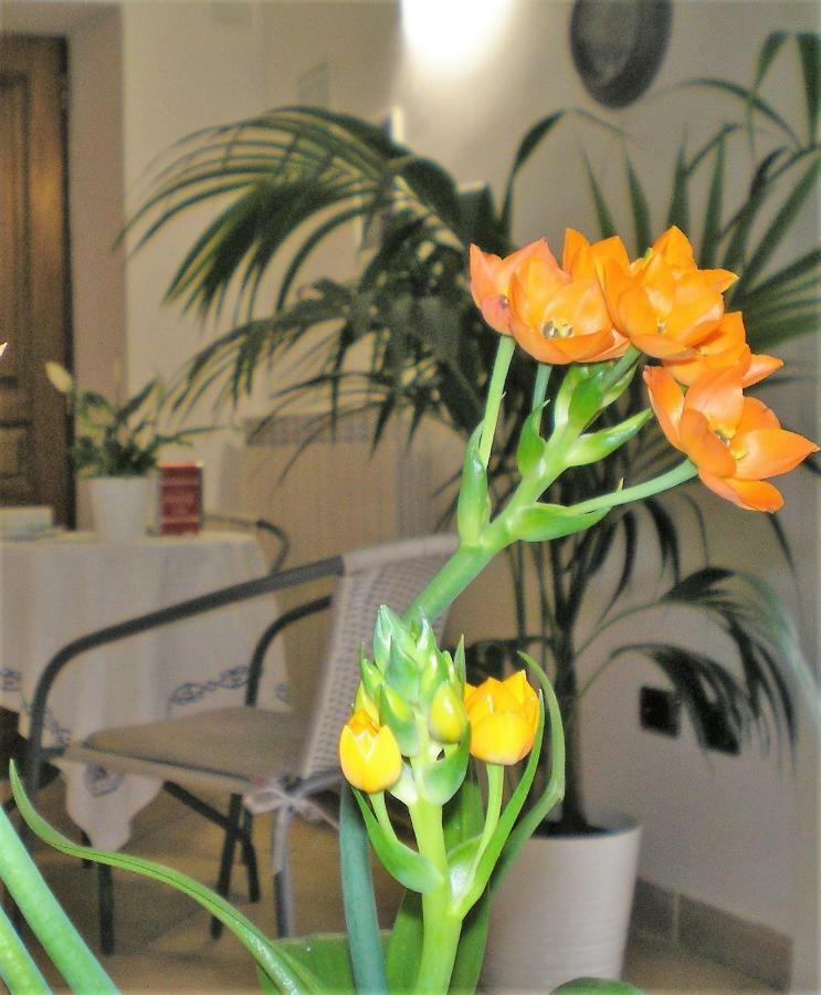 Itaca B&B Пиано ди Соренто Екстериор снимка